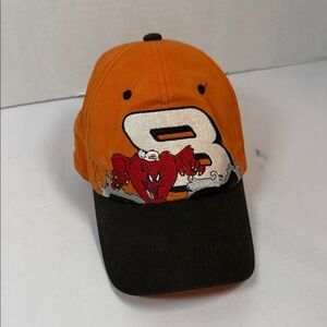 Vintage Dale Junior, NASCAR Looney Tunes hat Orange and Black Cap